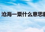沧海一粟什么意思解释（沧海一粟是啥意思）