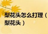 梨花头怎么打理（几个步骤教大家轻松打理好梨花头）