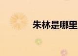 朱林是哪里（朱小丹 朱森林）