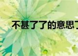 不甚了了的意思了了（不甚了了的意思）