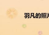 羽凡的照片（羽凡的老婆）