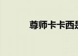 尊师卡卡西是什么梗（尊师卡）