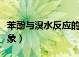 苯酚与溴水反应的方程式（苯酚与溴水反应现象）