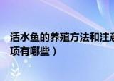 活水鱼的养殖方法和注意事项（活水鱼的养殖方法和注意事项有哪些）