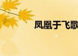 凤凰于飞歌词（凤凰于飞gl）