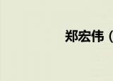 郑宏伟（zhenghong）