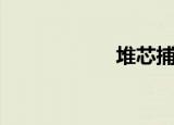 堆芯捕集器（堆芯）