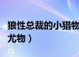 狼性总裁的小猎物全文免费阅读（狼性总裁的尤物）