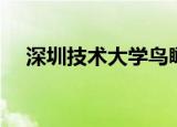 深圳技术大学鸟瞰图（深圳大学鸟瞰图）