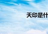 天印是什么意思（天印）