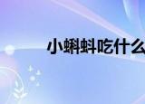 小蝌蚪吃什么（看看蝌蚪的饮食）