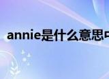 annie是什么意思中文（annie是什么意思）