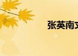 张英南丈夫（张英南）