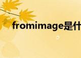 fromimage是什么意思（fromimage）
