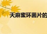 天麻蜜环菌片的成分（天麻蜜环菌片）