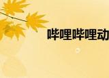  哔哩哔哩动画发动态得怎么发