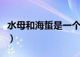 水母和海蜇是一个东西吗（水母和海蜇是什么）