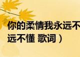 你的柔情我永远不懂歌词意思（你的柔情我永远不懂 歌词）