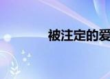被注定的爱情（注定的爱情）
