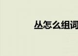 丛怎么组词（丛读音及解释）