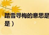 踏雪寻梅的意思是什么生肖（踏雪寻梅的意思是）