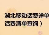 湖北移动话费详单查询（湖北移动网上营业厅话费清单查询）