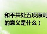 和平共处五项原则的意义（和平共处五项原则的意义是什么）