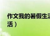作文我的暑假生活800字（作文 我的暑假生活）