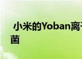  小米的Yoban离子净化器使食物中不再有细菌