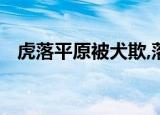 虎落平原被犬欺,落毛凤凰不如鸡什么意思