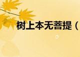 树上本无菩提（菩提树下之儿本无罪）