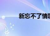 新忘不了情歌词（新忘不了情）