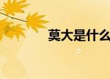 莫大是什么意思（莫大解释）