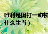 唯利是图打一动物生肖（身着彩衣唯利图是指什么生肖）
