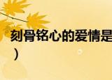 刻骨铭心的爱情是什么（刻骨铭心的爱情解释）