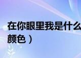 在你眼里我是什么颜色呢（在你眼里我是什么颜色）