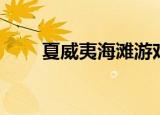 夏威夷海滩游戏（夏威夷金钱游戏）