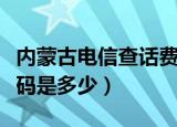 内蒙古电信查话费号码是多少（电信查话费号码是多少）