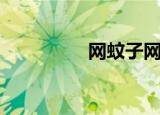 网蚊子网苍蝇（飞蚊网）