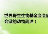 世界野生生物基金会会徽是哪种动物（世界野生生物基金会会徽的动物简述）