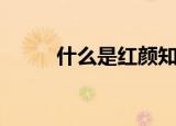什么是红颜知己（红颜知己介绍）