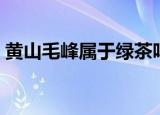 黄山毛峰属于绿茶吗（黄山毛峰属于什么茶）