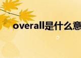 overall是什么意思（overall代表什么）