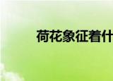 荷花象征着什么（荷花象征意义）