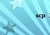 scp  173是什么？
