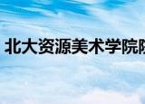 北大资源美术学院院长（北大资源美术学院）