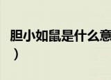 胆小如鼠是什么意思（词语胆小如鼠什么意思）