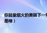 你就像烟火的美丽下一句是什么（你就像烟火的美丽下一句是啥）