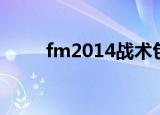 fm2014战术包（fm2010训练包）