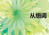 从组词（从如何组词）